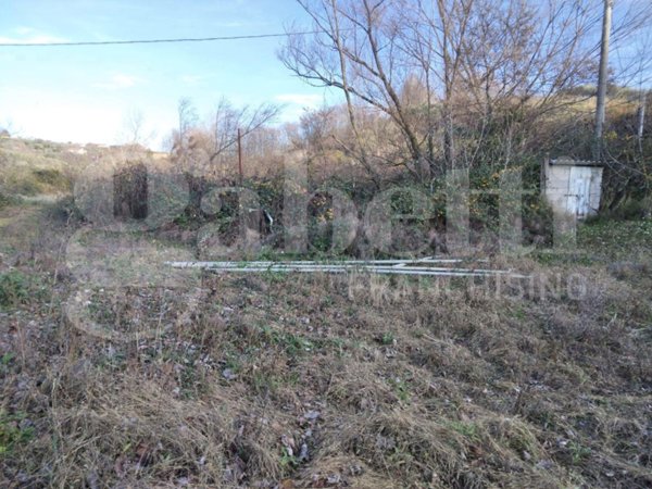 casa indipendente in vendita a Controguerra