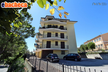 appartamento in vendita a Controguerra
