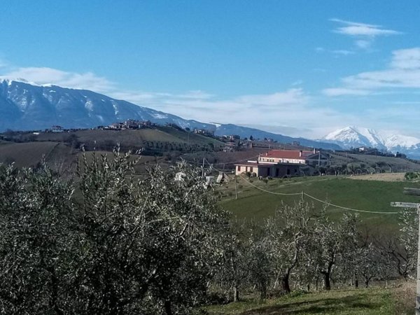 casa indipendente in vendita a Controguerra in zona Commenda