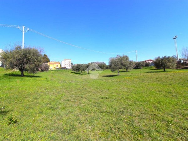 terreno agricolo in vendita a Controguerra