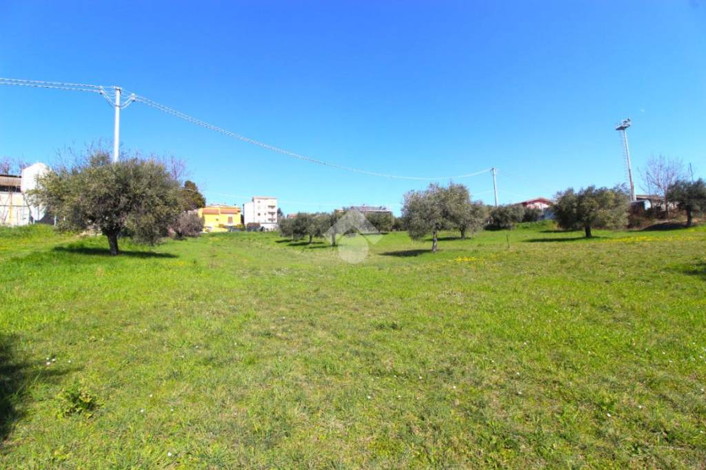 terreno agricolo in vendita a Controguerra