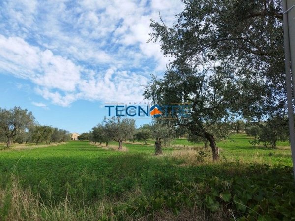 terreno agricolo in vendita a Controguerra