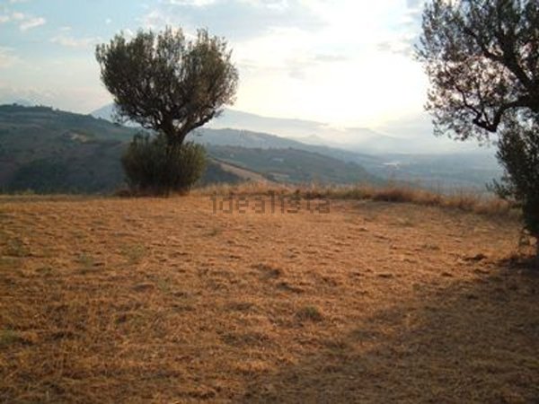 casa indipendente in vendita a Controguerra