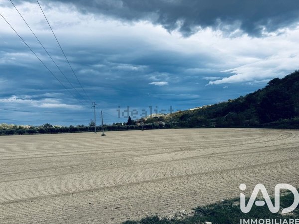 terreno agricolo in vendita a Controguerra