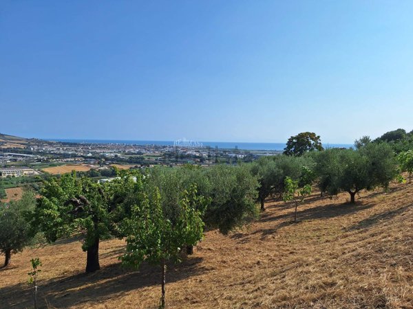 immagine annuncio 0 di 1