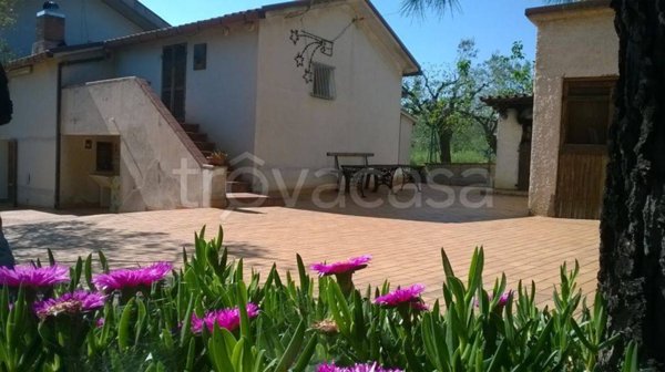 casa indipendente in vendita a Controguerra