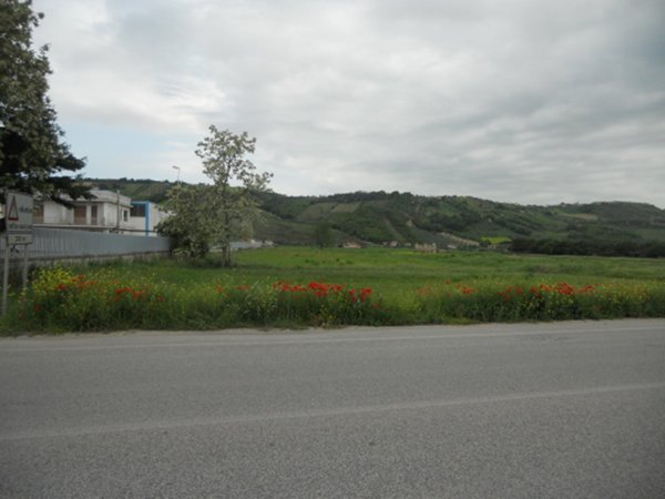 casa indipendente in vendita a Controguerra