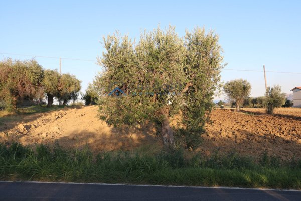 terreno edificabile in vendita a Controguerra