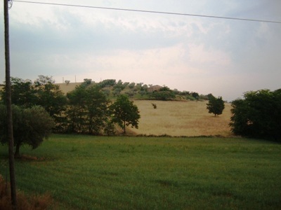 terreno agricolo in vendita a Controguerra