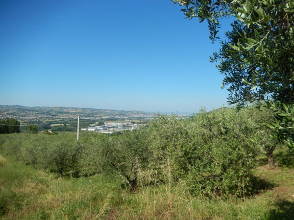 casa indipendente in vendita a Controguerra