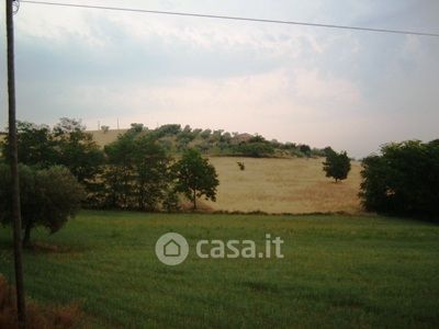 terreno agricolo in vendita a Controguerra