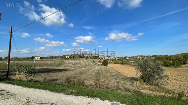 terreno agricolo in vendita a Controguerra