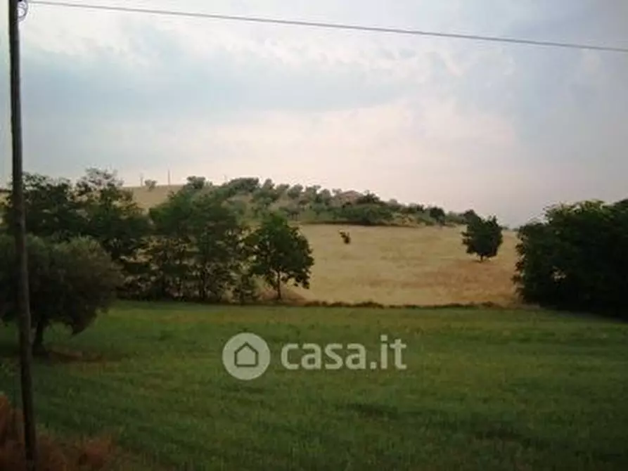 terreno agricolo in vendita a Controguerra