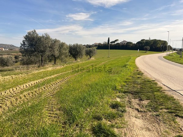 terreno agricolo in vendita a Controguerra