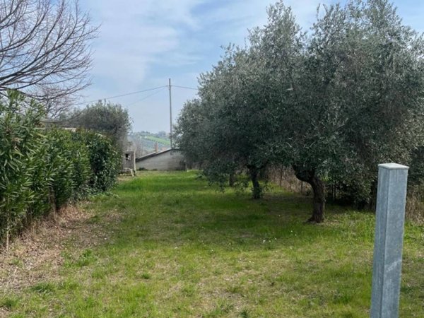 terreno agricolo in vendita a Controguerra