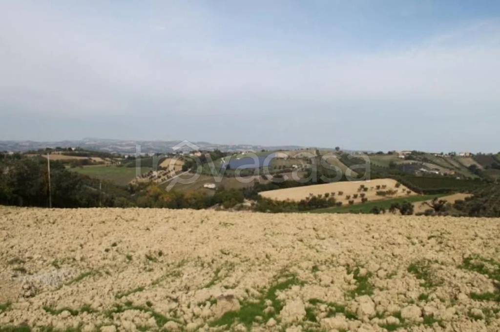 casa indipendente in vendita a Controguerra