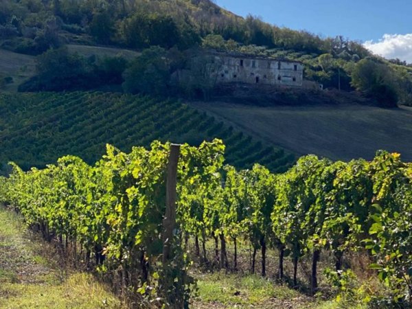 casa indipendente in vendita a Controguerra