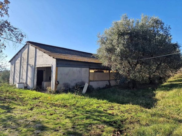 terreno agricolo in vendita a Controguerra
