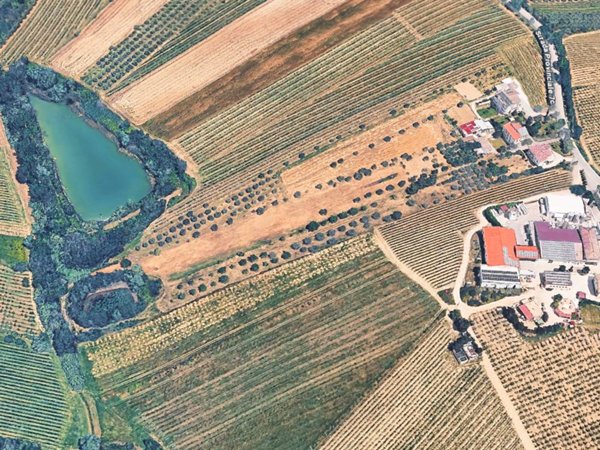 terreno agricolo in vendita a Controguerra in zona Mattonelle