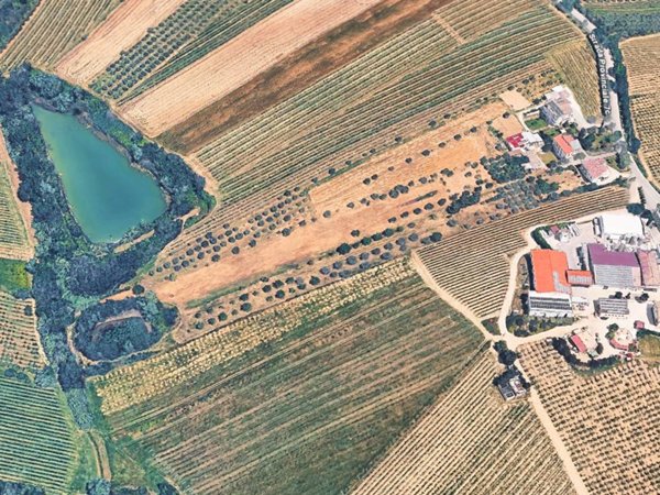 terreno agricolo in vendita a Controguerra in zona Mattonelle