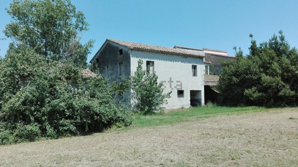 terreno agricolo in vendita a Controguerra