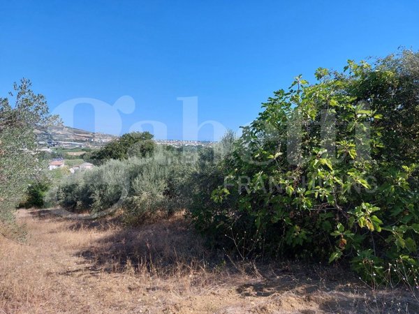 terreno in vendita a Controguerra in zona San Giovanni
