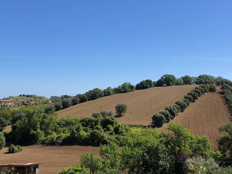 terreno in vendita a Controguerra