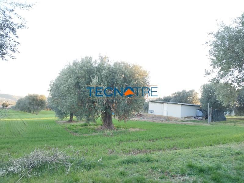 terreno agricolo in vendita a Corropoli in zona Ravigliano
