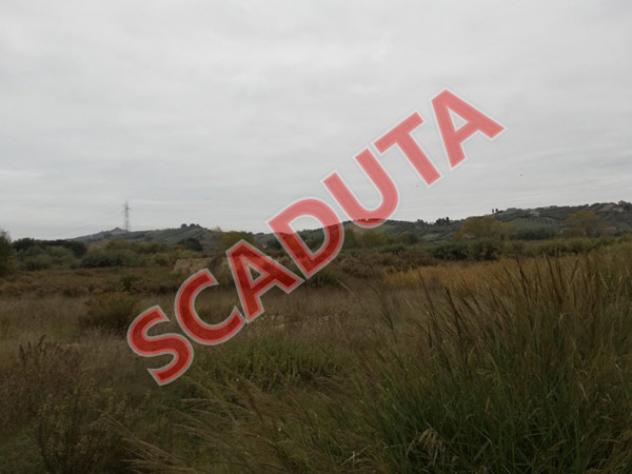 terreno agricolo in vendita a Corropoli