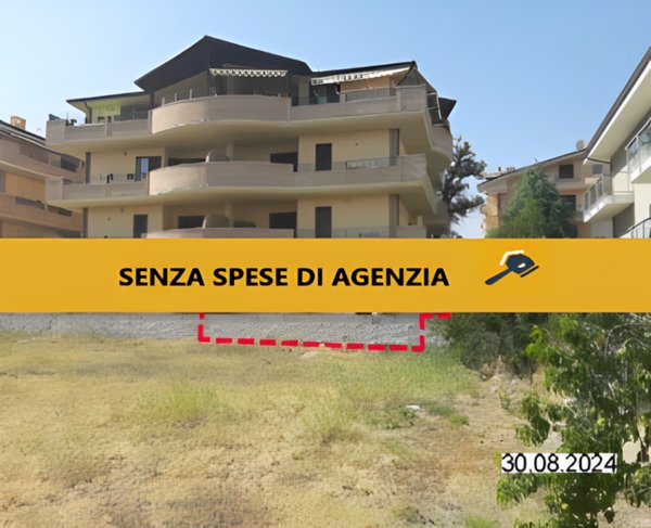 immagine annuncio 0 di 5