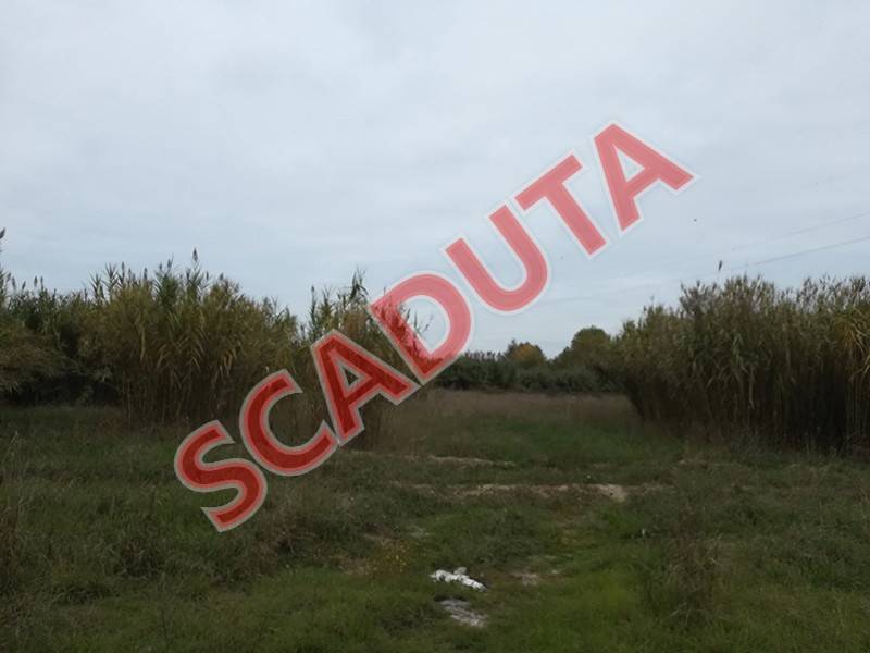 terreno agricolo in vendita a Corropoli