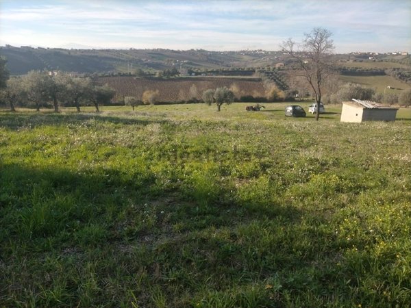 terreno agricolo in vendita a Corropoli