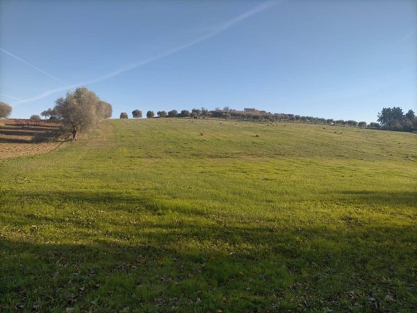 terreno agricolo in vendita a Corropoli