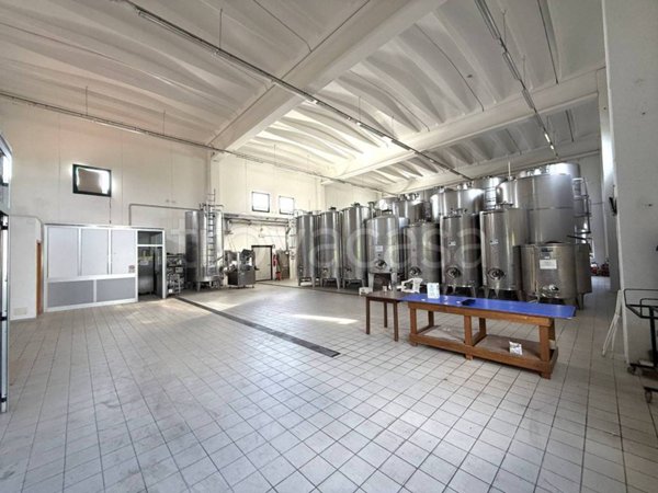 locale commerciale in vendita a Corropoli in zona Gabbiano