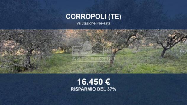 terreno edificabile in vendita a Corropoli in zona Montagnola