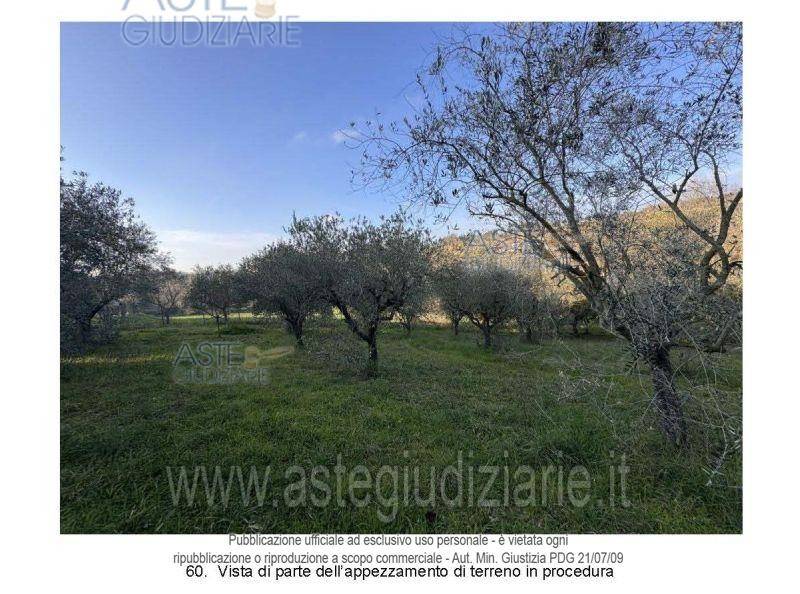 monolocale in vendita a Corropoli in zona Montagnola