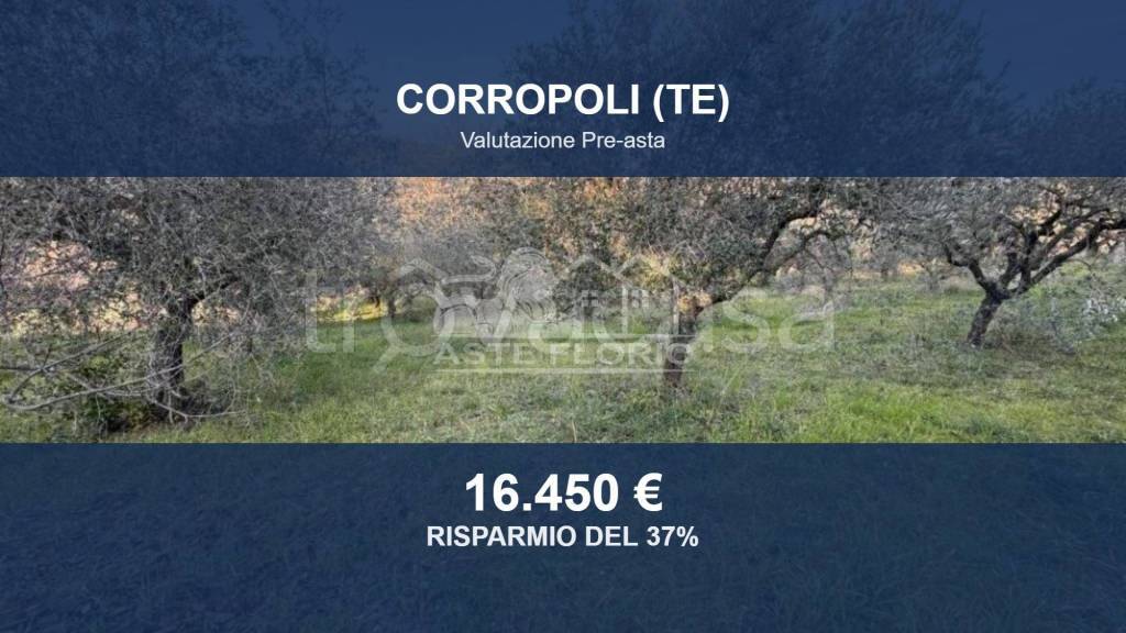terreno in vendita a Corropoli in zona Montagnola
