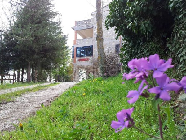 negozio in vendita a Cortino in zona Pagliaroli