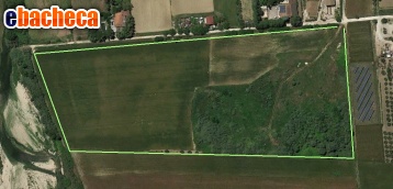 terreno agricolo in vendita a Giulianova