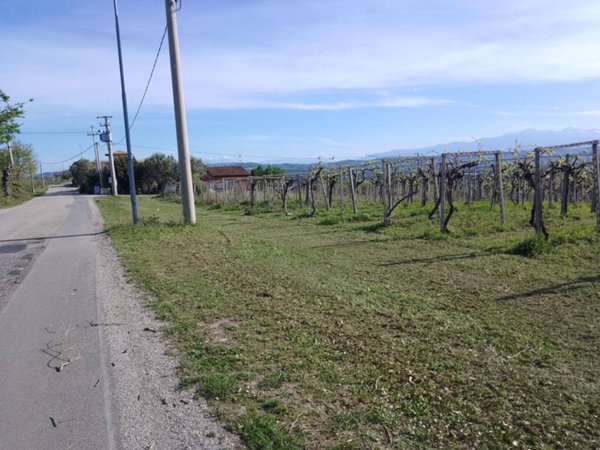 terreno agricolo in vendita a Giulianova