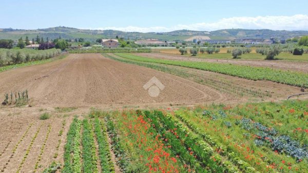 terreno agricolo in vendita a Giulianova