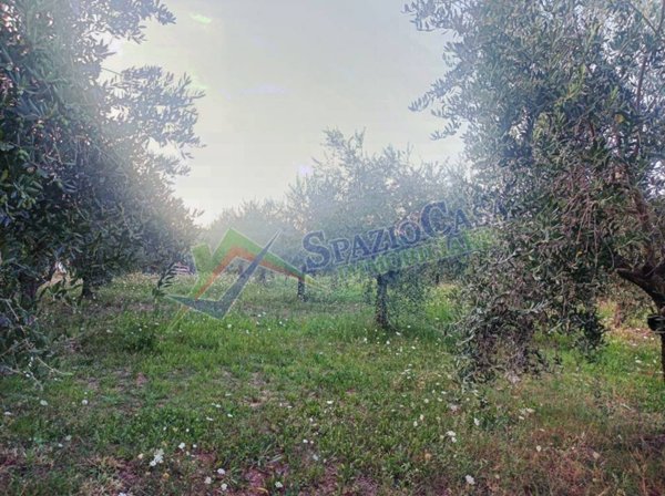 terreno agricolo in vendita a Giulianova in zona Colleranesco