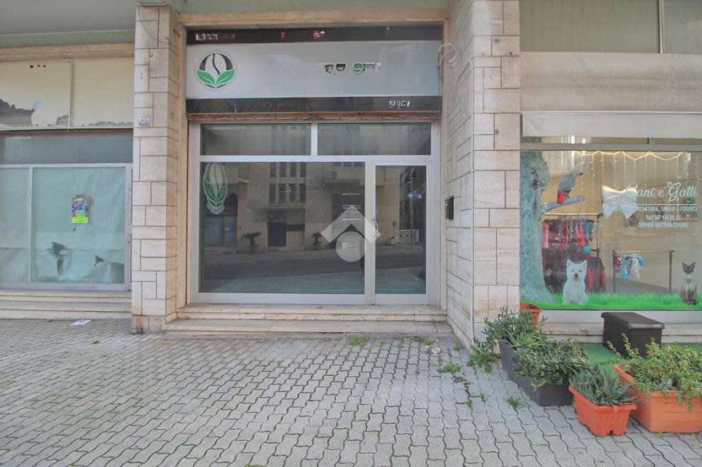 negozio in vendita a Giulianova