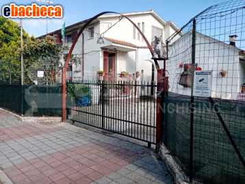 appartamento in vendita a Giulianova