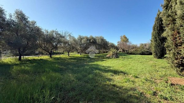 casa indipendente in vendita a Giulianova in zona Colleranesco