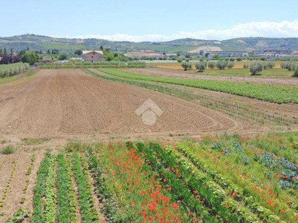 terreno agricolo in vendita a Giulianova