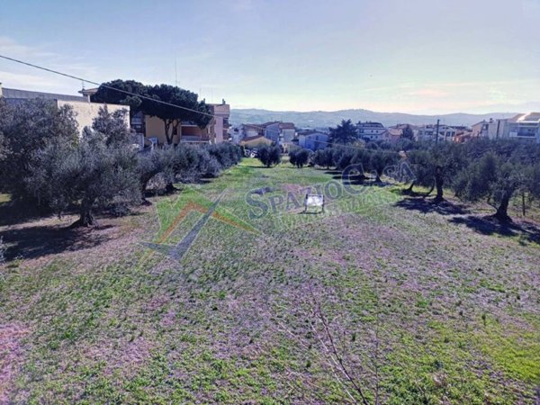 terreno agricolo in vendita a Giulianova