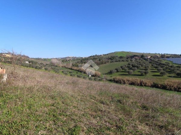 terreno agricolo in vendita a Giulianova in zona Case di Trento