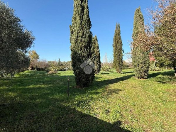 terreno agricolo in vendita a Giulianova in zona Colleranesco