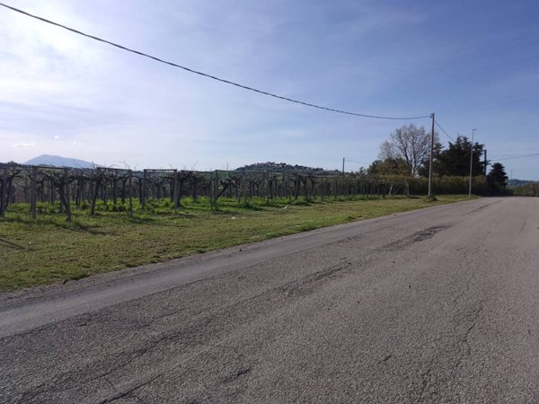 terreno agricolo in vendita a Giulianova in zona Case di Trento